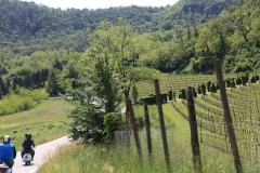 00401 raduno2014